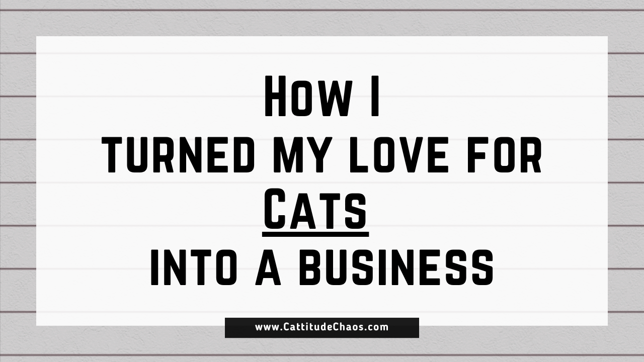 How I Turned My Love for Cats into a Business